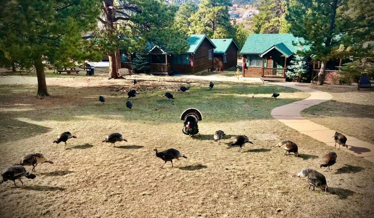 Mountain Shadows Resort Estes Park Dış mekan fotoğraf