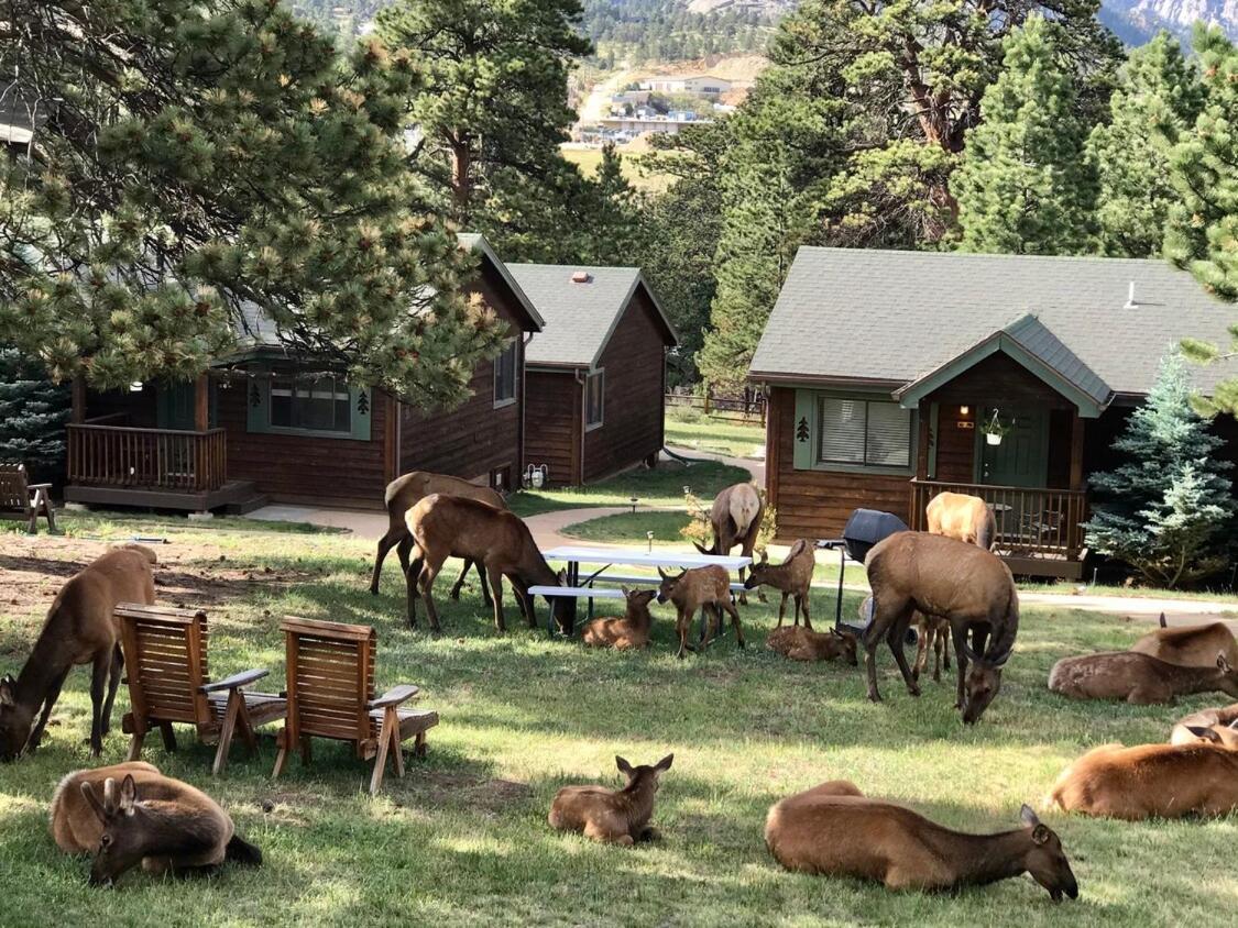 Mountain Shadows Resort Estes Park Dış mekan fotoğraf