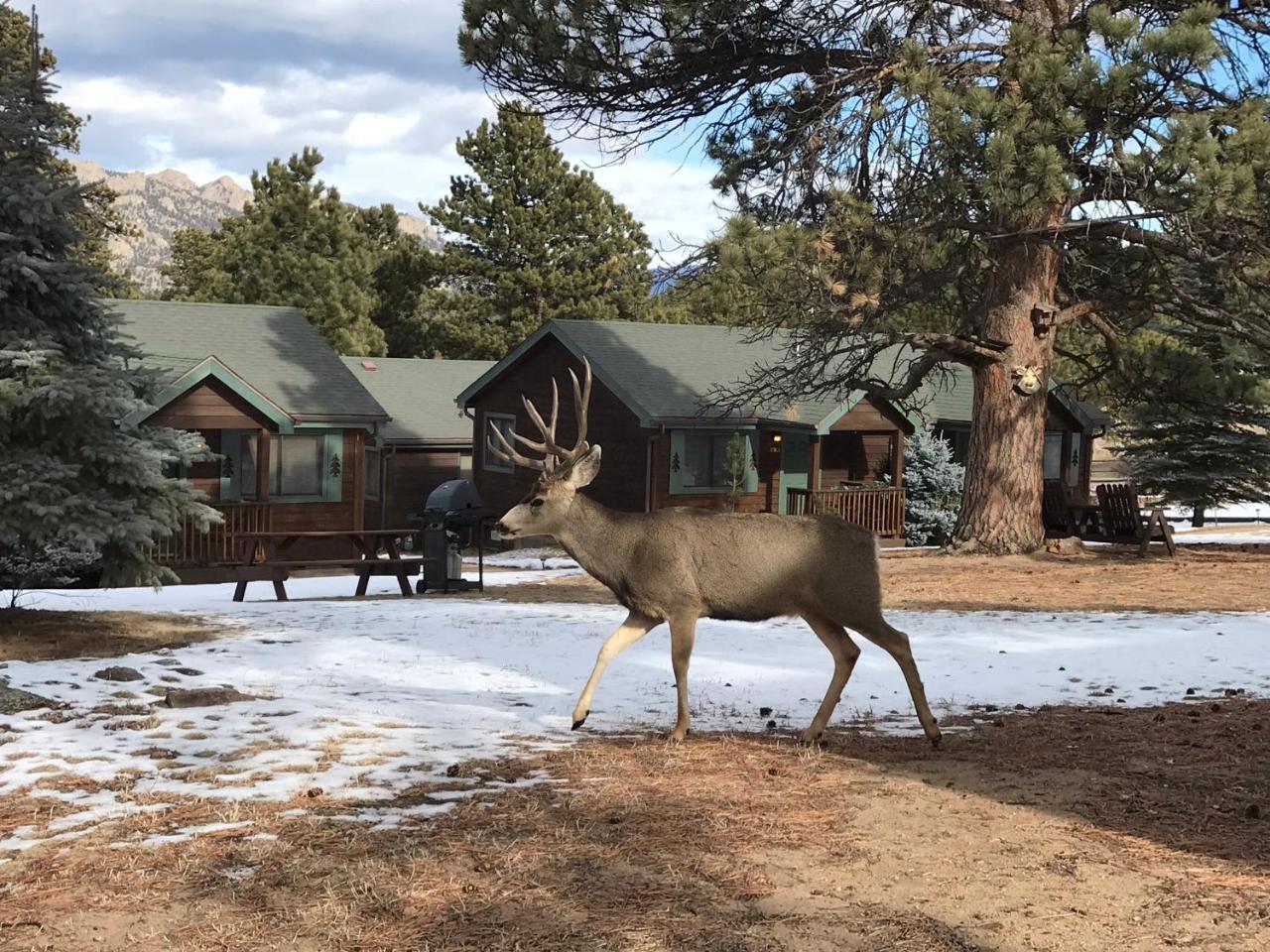Mountain Shadows Resort Estes Park Dış mekan fotoğraf