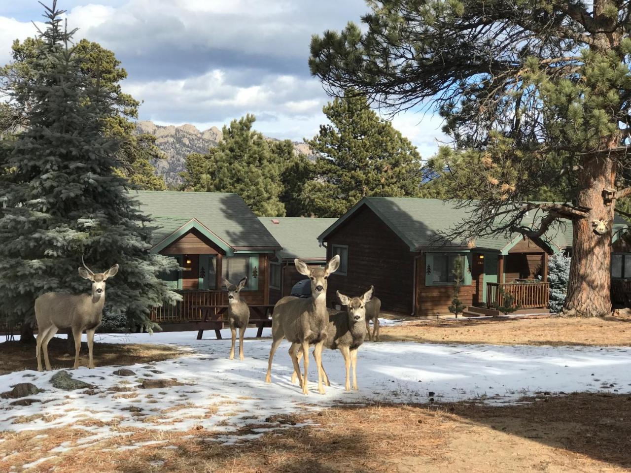 Mountain Shadows Resort Estes Park Dış mekan fotoğraf